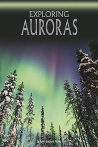 Exploring Auroras