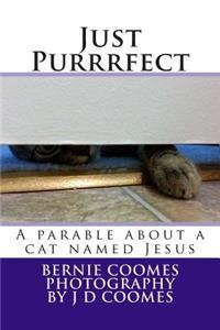 Just Purrrfect