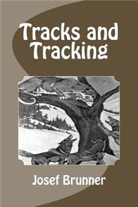 Tracks and Tracking