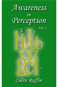 Awareness in Perception