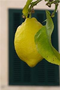 A Luscious Yellow Lemon on a Lemon Tree Journal