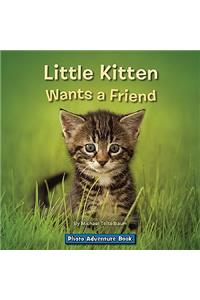 Little Kitten Wants a Friend