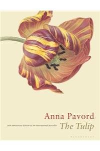 Tulip