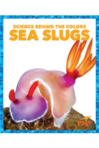 Sea Slugs