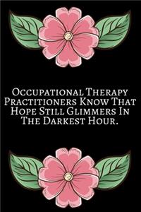 Occupational Therapy Practitioner