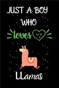 Just A Boy Who Loves Llamas