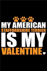 My American Staffordshire Terrier Is My Valentine