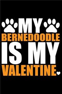 My Bernedoodle Is My Valentine