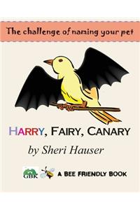 Harry Fairy Canary