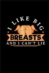 I Like Big Breasts And I Cant Lie