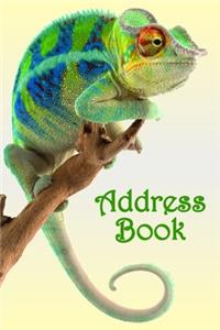 Address Book