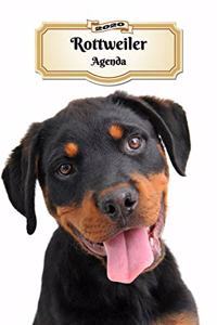 2020 Rottweiler Agenda: 107 Pagine - Dimensioni DIN A5 - Pianificatore Settimanale - 12 Mesi - Due Pagine Per Settimana - Calendario - Diario - Cane