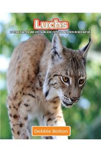 Luchs