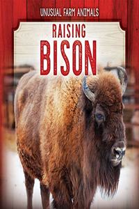 Raising Bison