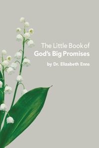 Little Book of God's Big Promises