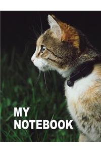 My Notebook. for Cats Pets Lover. Blank Lined Planner Journal Diary.