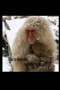 Pain Is Inevitable, Suffering Is Optional.