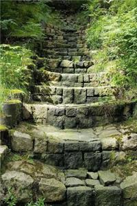 A Magical Stone Stairway in the Forest Nature Journal