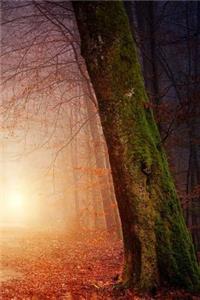 Nature Notebook