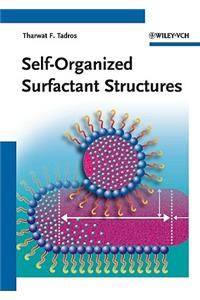 Self-Organized Surfactant Structures