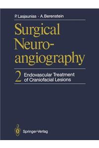 Surgical Neuroangiography