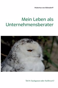 Mein Leben als Unternehmensberater