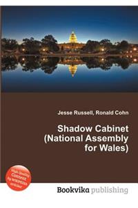 Shadow Cabinet (National Assembly for Wales)