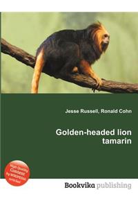 Golden-Headed Lion Tamarin