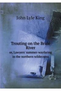 Trouting on the Brulé River or, Lawyers' summer-wayfaring in the northern wilderness
