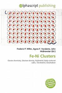 Fe-Ni Clusters