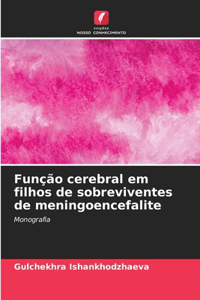 Função cerebral em filhos de sobreviventes de meningoencefalite