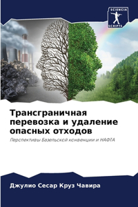 Трансграничная перевозка и удаление опас