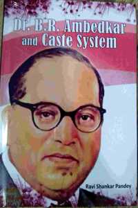 Dr B R Ambedkar and Caste System