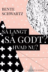 Så langt - Så godt? Hvad nu?