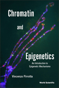 Chromatin and Epigenetics: An Introduction to Epigenetic Mechanisms