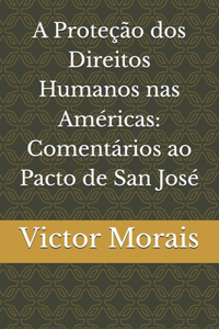 A Proteção dos Direitos Humanos nas Américas
