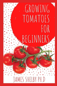 Growing Tomatoes for Beginners