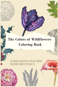 colors of wildflowers coloring book