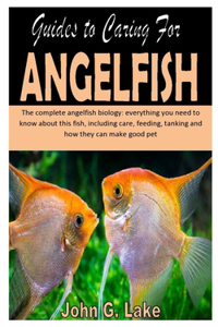 Guides to Caring for Angelfish