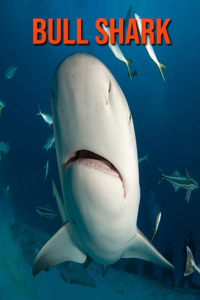 Bull Shark