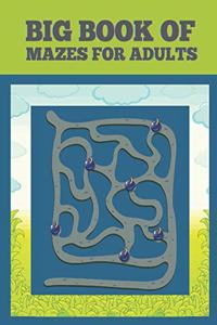 Big Book of Mazes for Adults