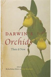 Darwin's Orchids