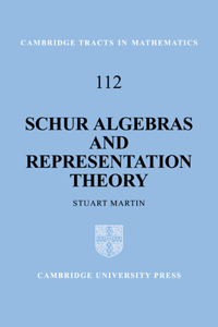 Schur Algebras and Representation Theory