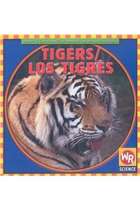 Tigers / Los Tigres