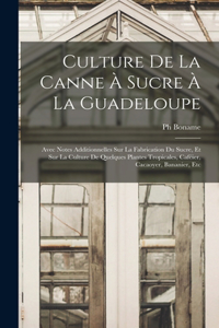 Culture De La Canne À Sucre À La Guadeloupe