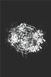 Cobweb