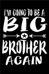 I'm Going To be a Big Brother Again