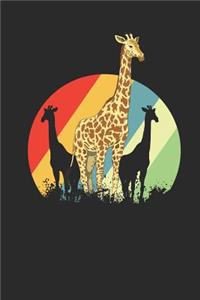 Giraffes