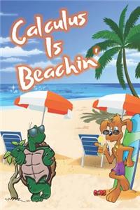 Calculus Is Beachin'