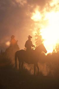 Horse Photo School Composition Book Equine Sunset Cowboy